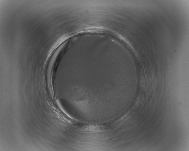 X0000078281362200611101122