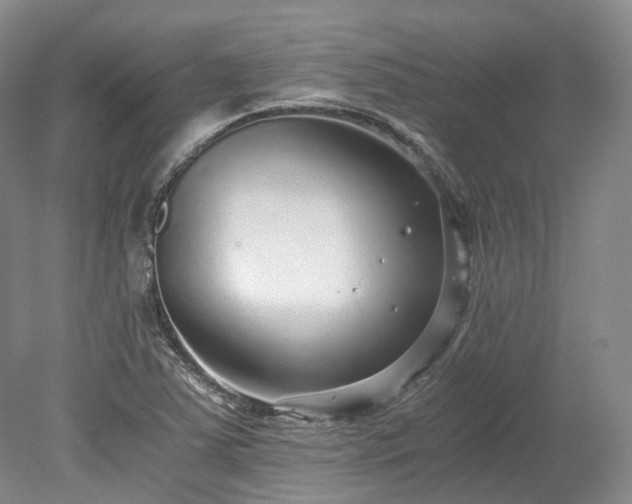 X0000078281363200611101122