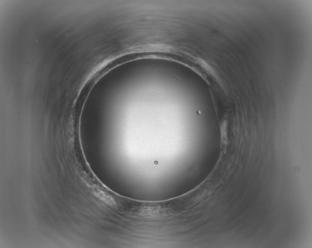 X0000078281364200611101122