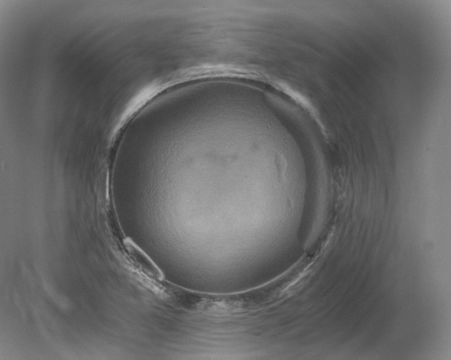 X0000078281365200611101122