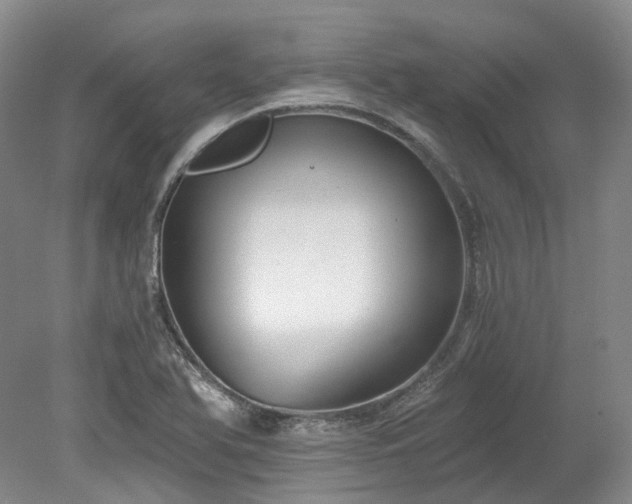 X0000078281366200611101122