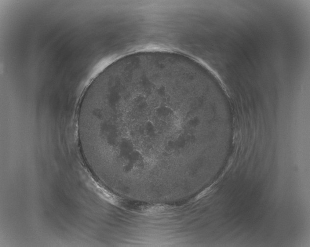 X0000078281367200611101122