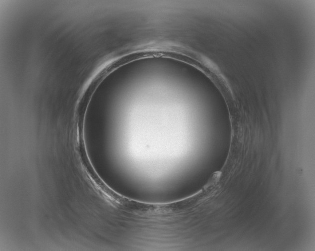 X0000078281368200611101122