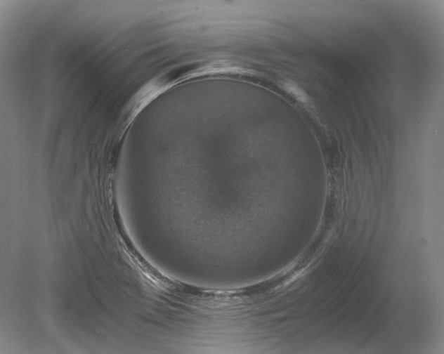 X0000078281369200611101122