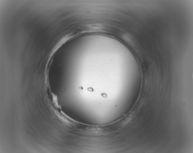 X0000078281370200611101122