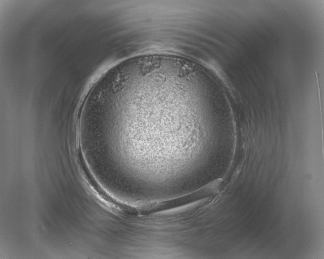 X0000078281371200611101122