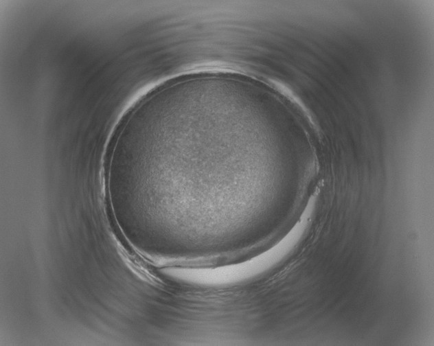 X0000078281372200611101122