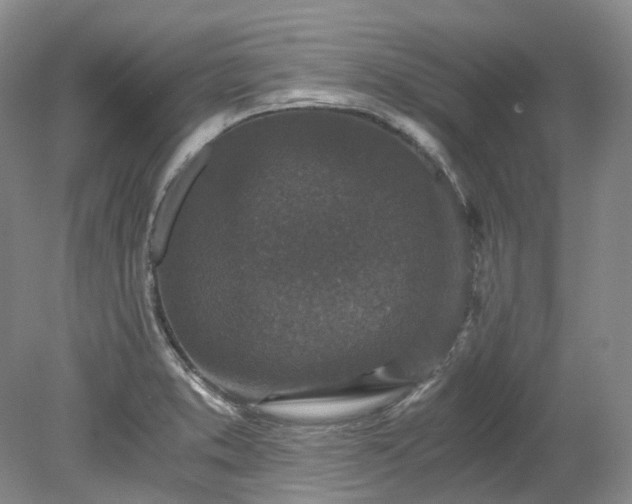 X0000078281373200611101122