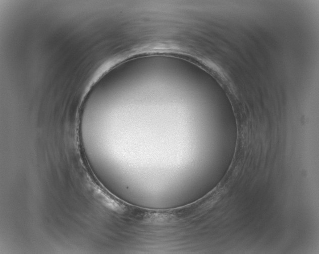 X0000078281374200611101122