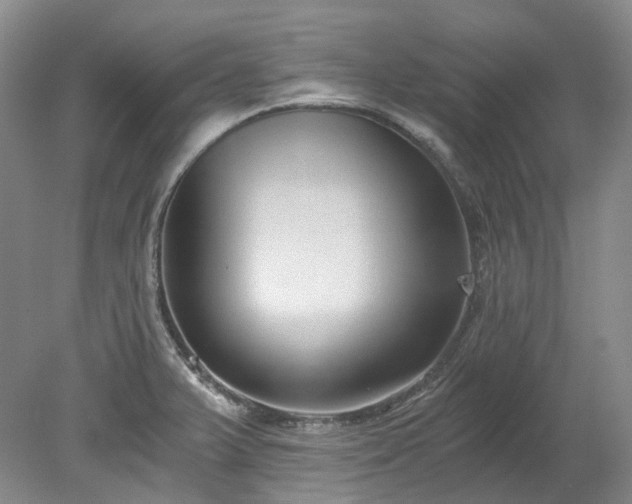 X0000078281375200611101122