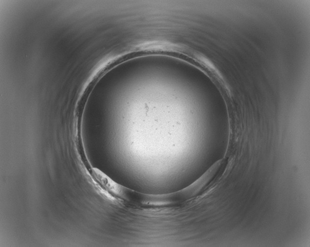 X0000078281376200611101122