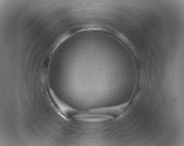 X0000078281377200611101122