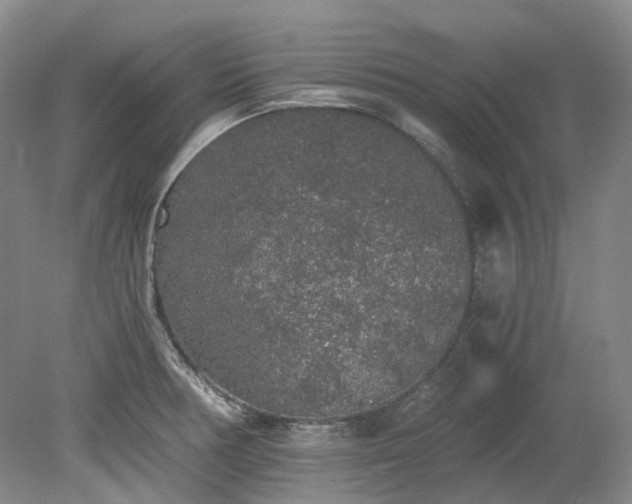 X0000078281378200611101122