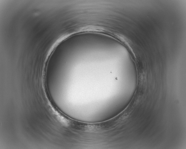 X0000078281379200611101122