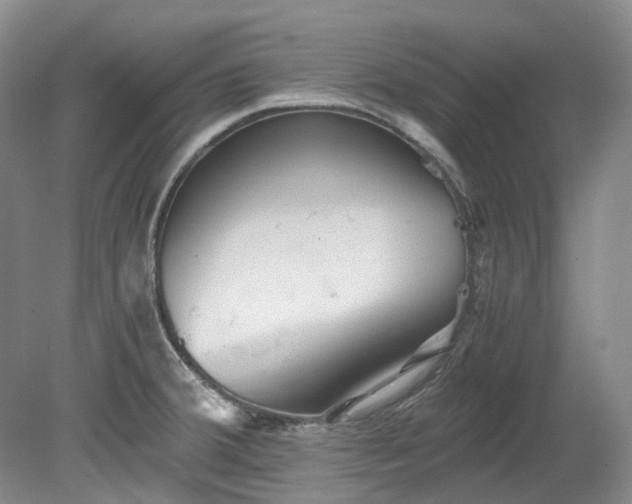 X0000078281380200611101122