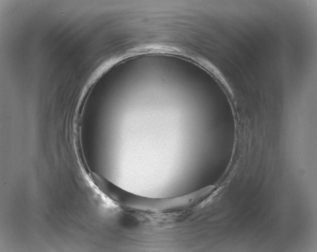 X0000078281381200611101122