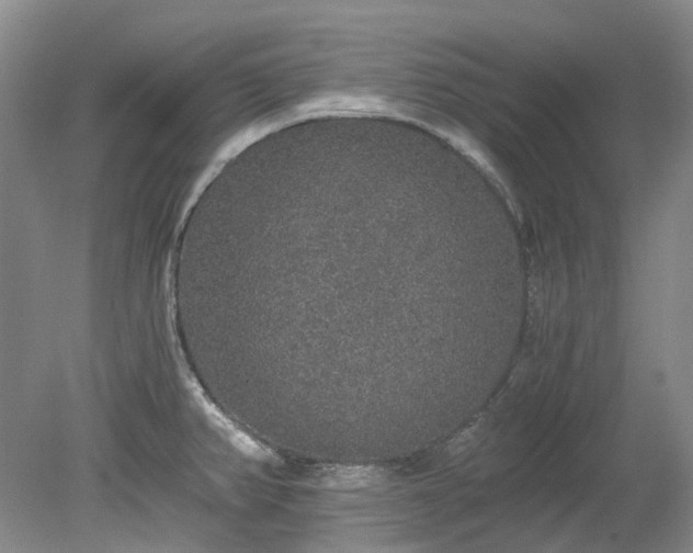 X0000078281382200611101122