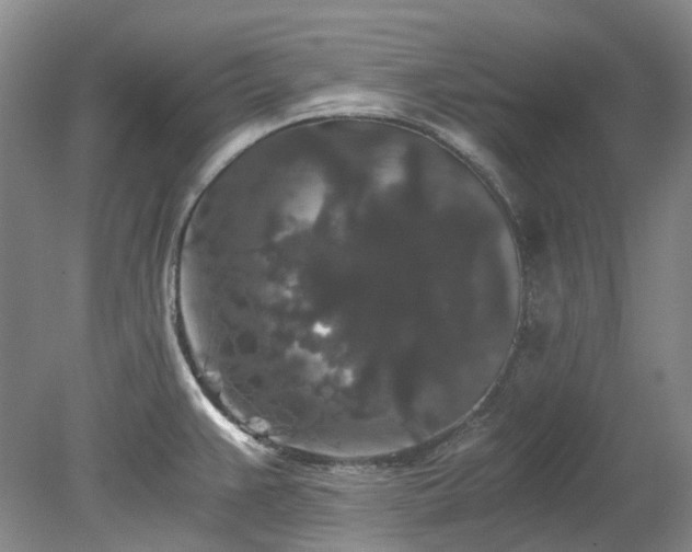 X0000078281383200611101122