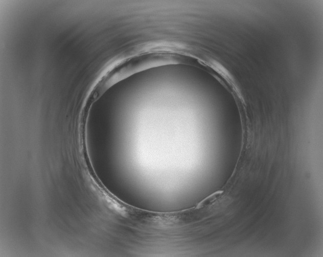 X0000078281384200611101122