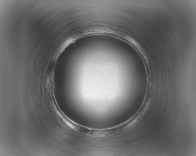 X0000078281385200611101122