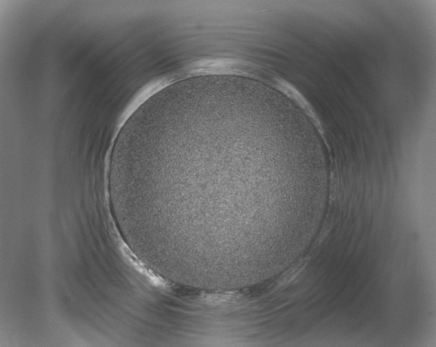 X0000078281386200611101122