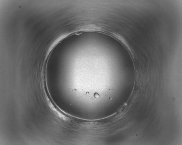 X0000078281387200611101122