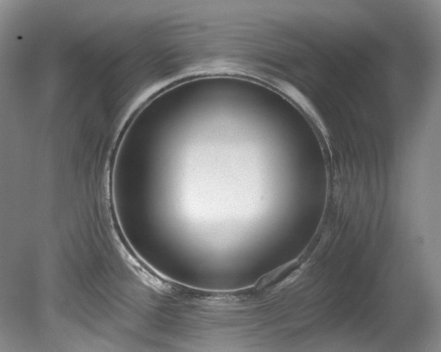 X0000078281388200611101122