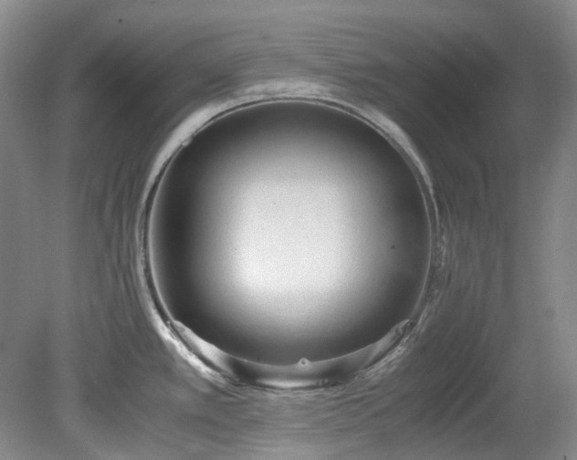 X0000078281389200611101122