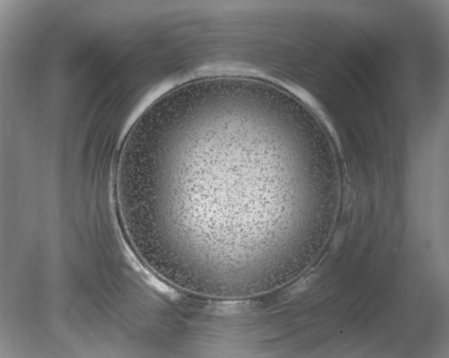 X0000078281390200611101122