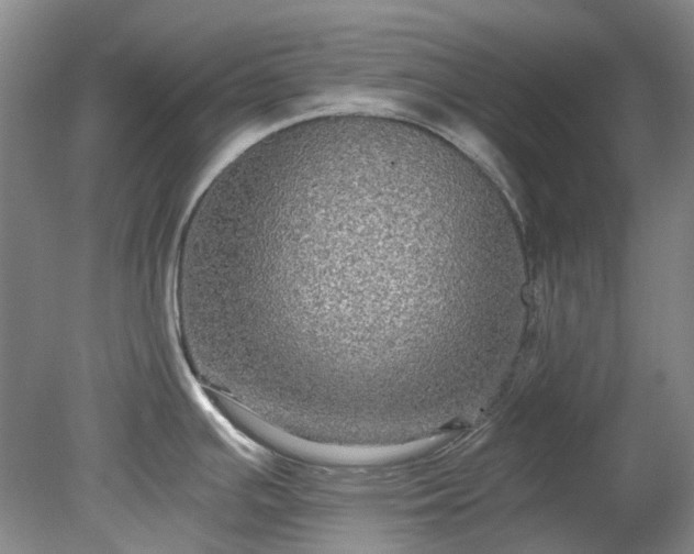 X0000078281391200611101122