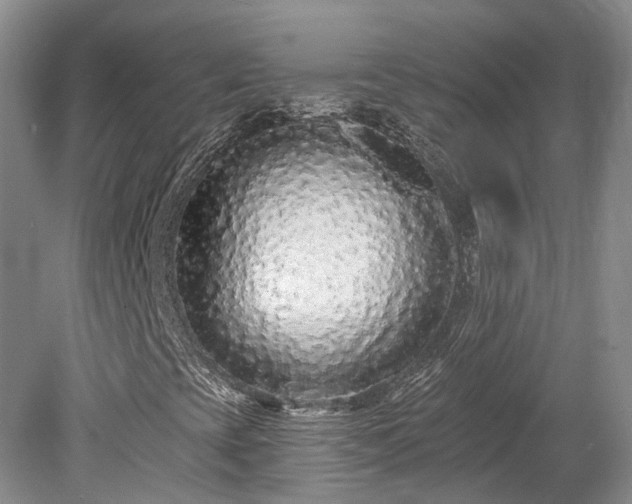 X0000078281393200611101121