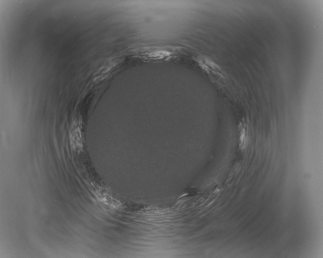 X0000078281394200611101121