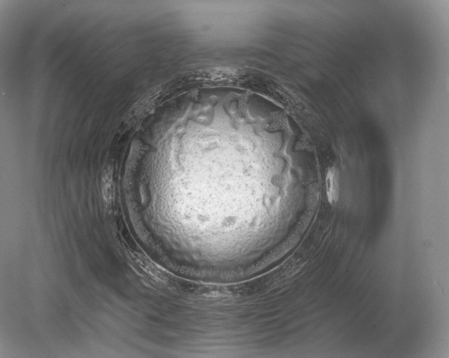 X0000078281395200611101121