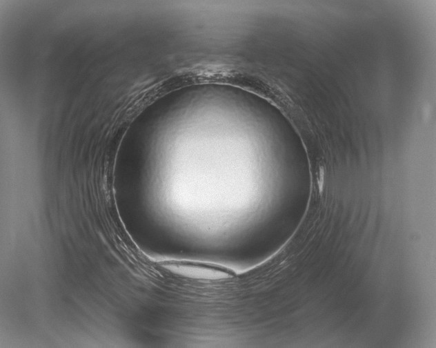 X0000078281396200611101121