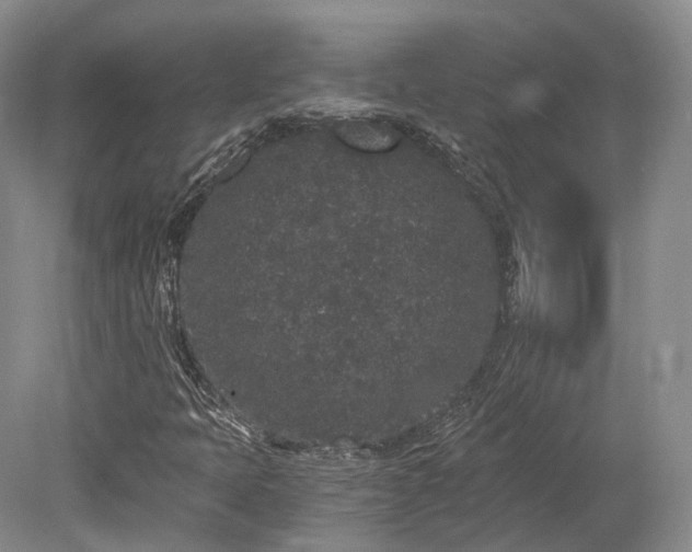 X0000078281397200611101121