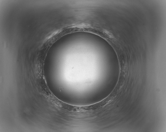 X0000078281398200611101121