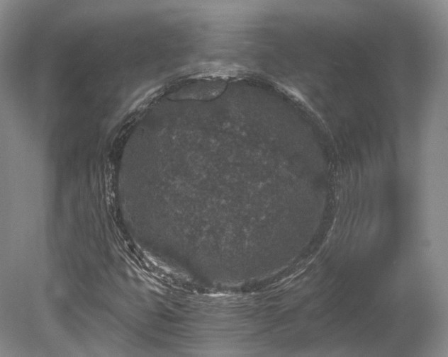 X0000078281399200611101121