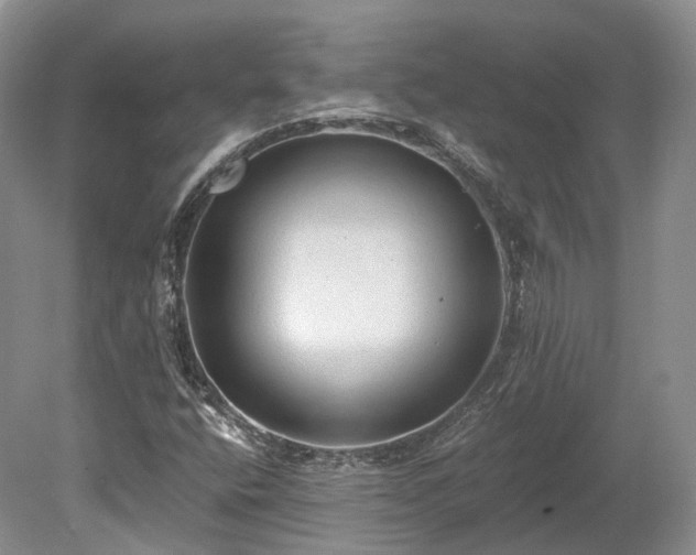 X0000078281400200611101121