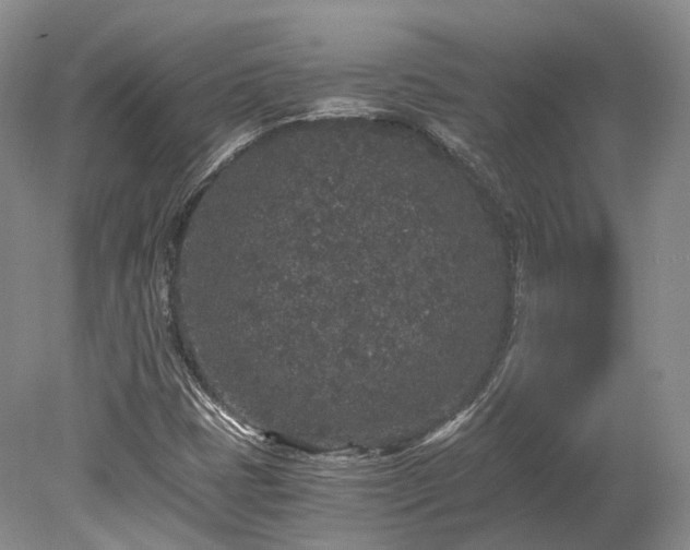 X0000078281401200611101121