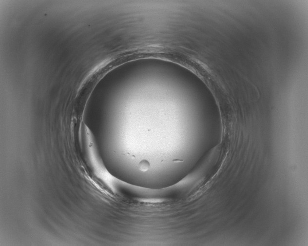 X0000078281402200611101121