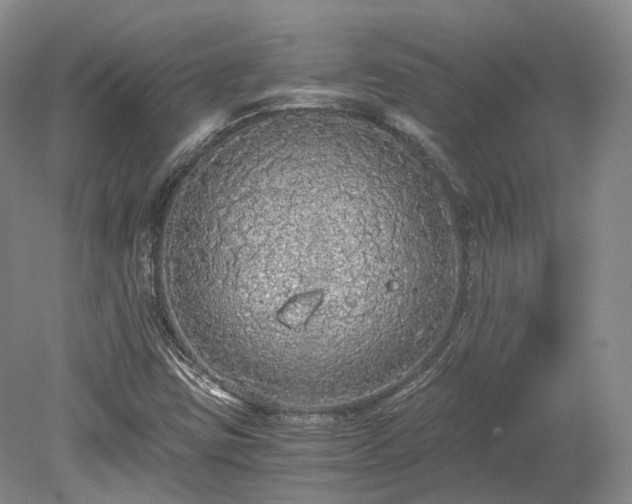 X0000078281403200611101121