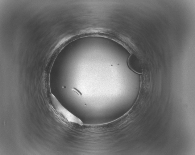 X0000078281404200611101121