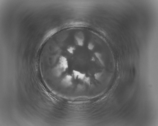 X0000078281405200611101121