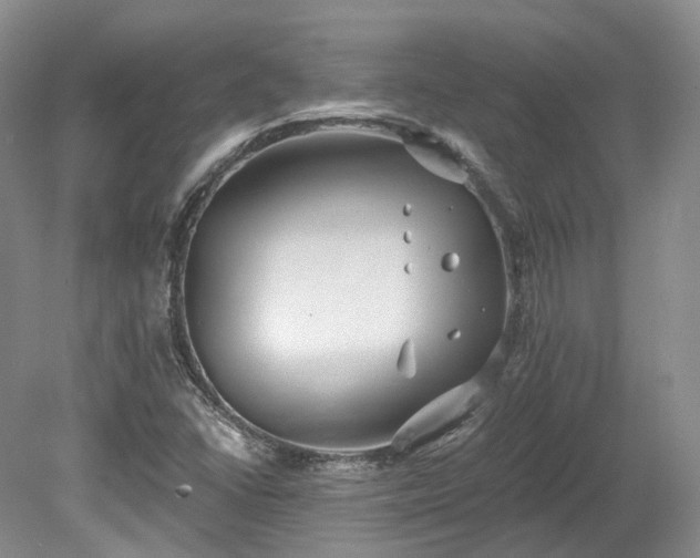 X0000078281406200611101121