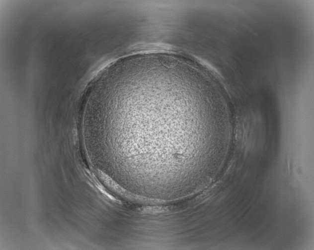 X0000078281407200611101121