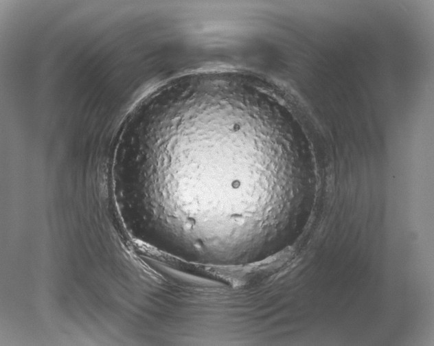 X0000078281409200611101121