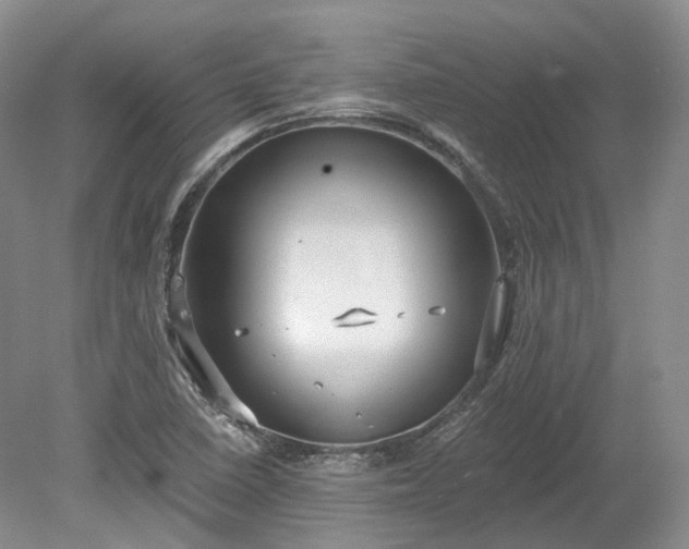 X0000078281410200611101121