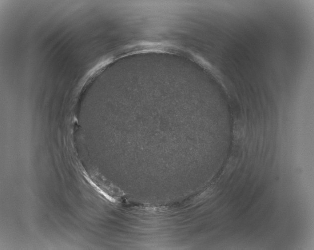 X0000078281411200611101121