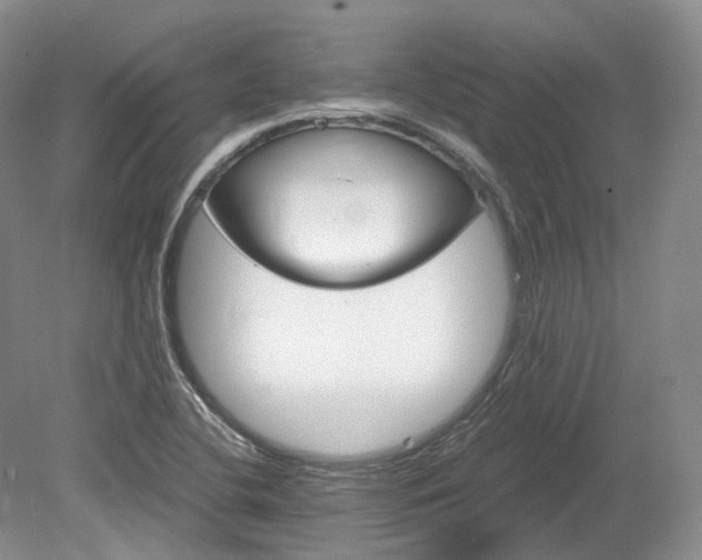 X0000078281412200611101121