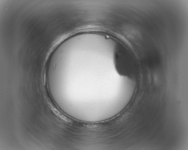 X0000078281413200611101121